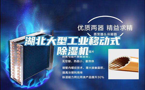 湖北大型工業移動式除濕機