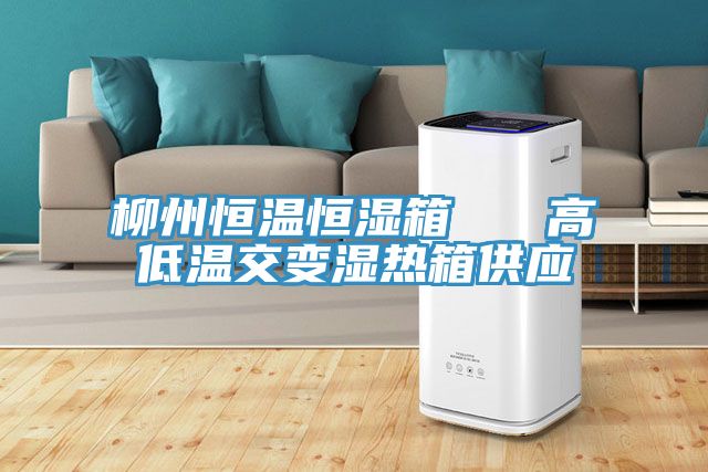 柳州恒溫恒濕箱 高低溫交變濕熱箱供應