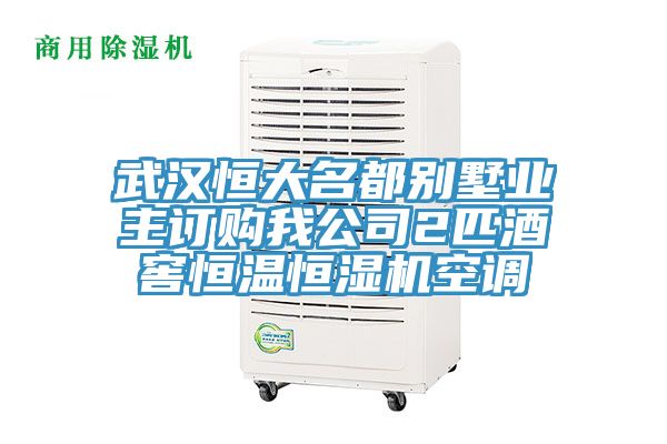 武漢恒大名都別墅業(yè)主訂購我公司2匹酒窖恒溫恒濕機空調(diào)