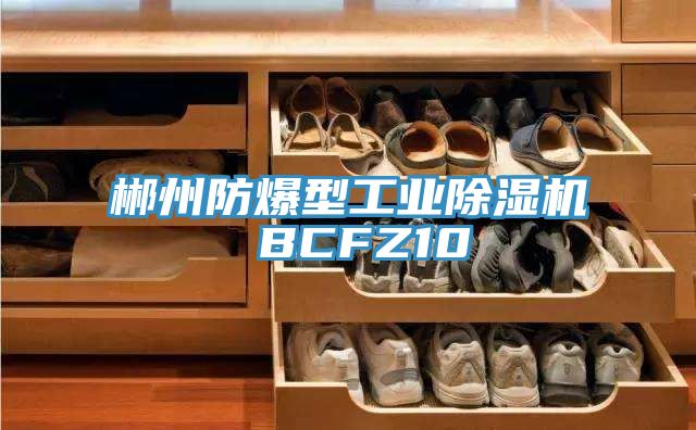 郴州防爆型工業除濕機 BCFZ10
