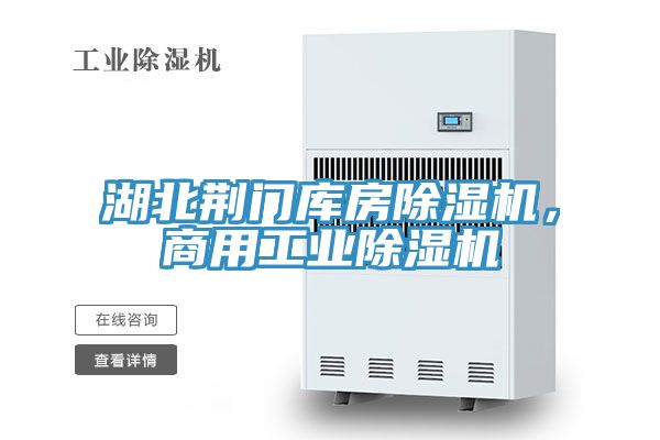 湖北荊門庫房除濕機，商用工業除濕機