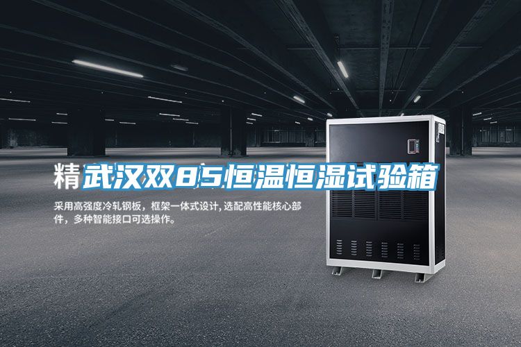 武漢雙85恒溫恒濕試驗箱