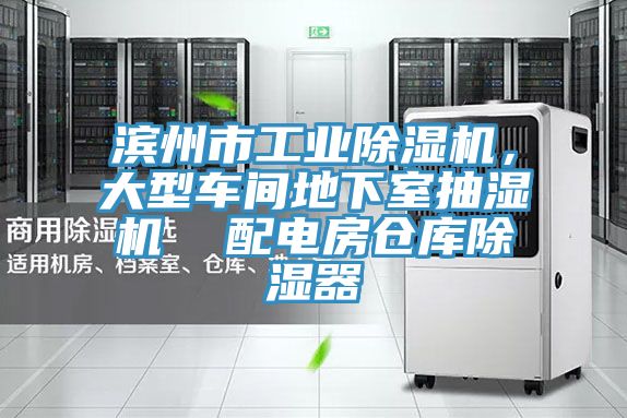 濱州市工業(yè)除濕機,大型車間地下室抽濕機 配電房倉庫除濕器