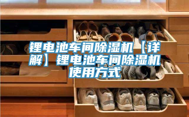 鋰電池車間除濕機【詳解】鋰電池車間除濕機使用方式