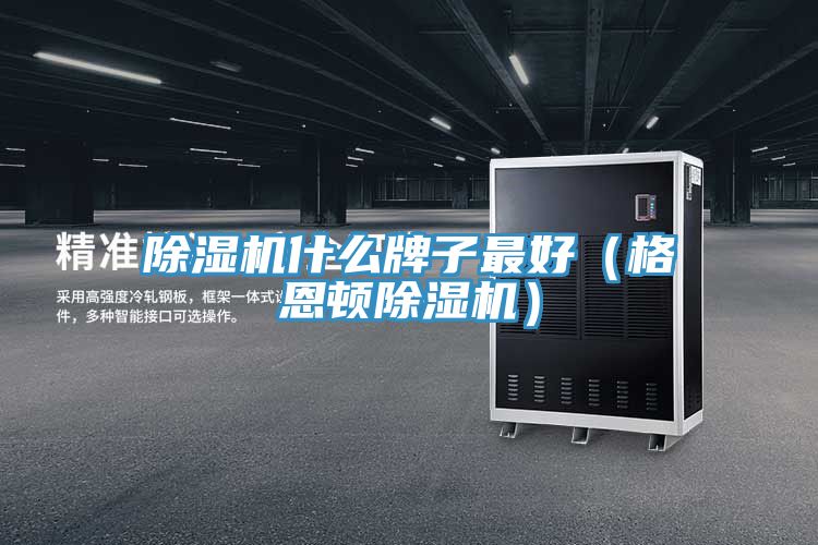 除濕機什么牌子最好（格恩頓除濕機）