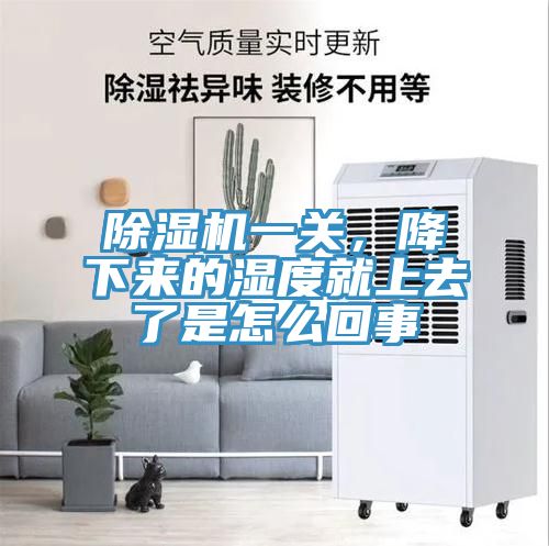 除濕機一關,降下來的濕度就上去了是怎么回事
