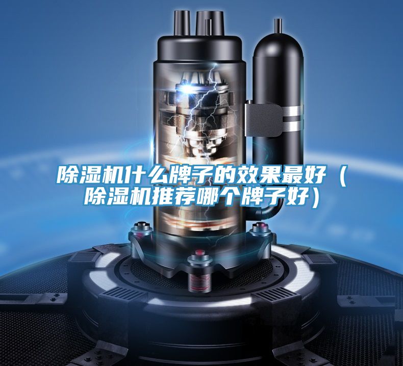 除濕機什么牌子的效果最好(除濕機推薦哪個牌子好)