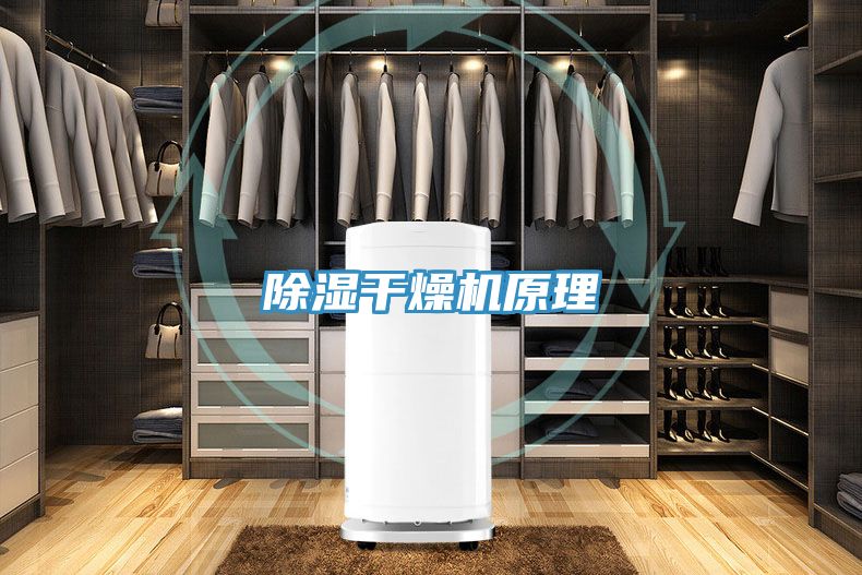 除濕干燥機(jī)原理