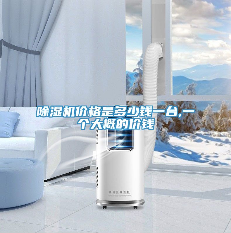 除濕機價格是多少錢一臺,一個大概的價錢