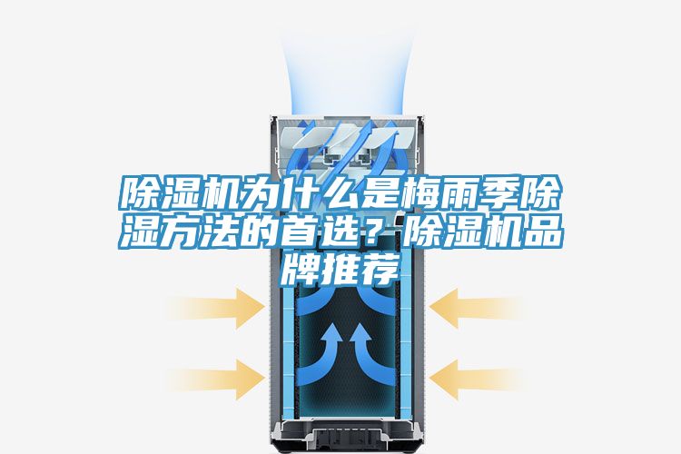 除濕機(jī)為什么是梅雨季除濕方法的首選?除濕機(jī)品牌推薦