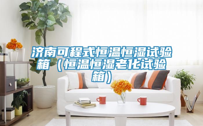 濟南可程式恒溫恒濕試驗箱(恒溫恒濕老化試驗箱)