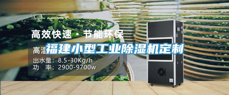 福建小型工業除濕機定制