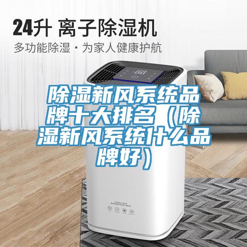 除濕新風(fēng)系統(tǒng)品牌十大排名(除濕新風(fēng)系統(tǒng)什么品牌好)