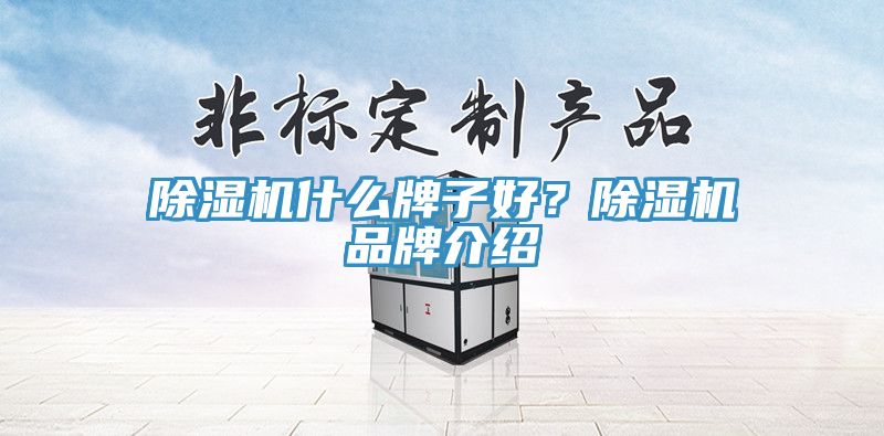 除濕機什么牌子好?除濕機品牌介紹