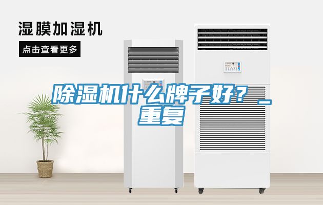 除濕機(jī)什么牌子好？_重復(fù)