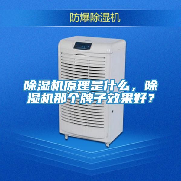 除濕機原理是什么，除濕機那個牌子效果好？