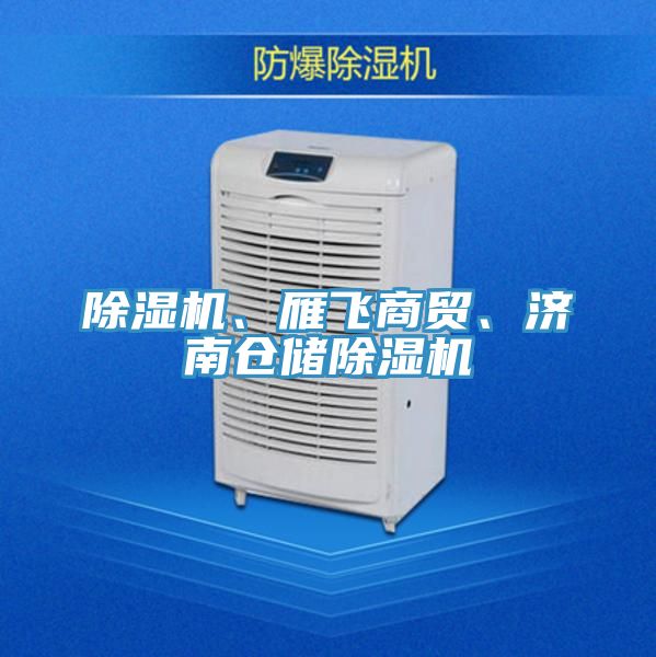 除濕機、雁飛商貿、濟南倉儲除濕機