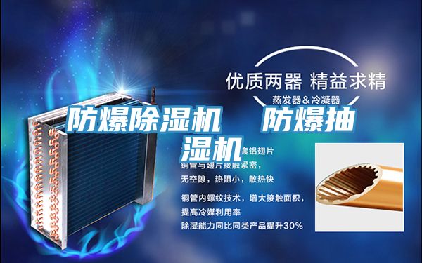 防爆除濕機(jī) 防爆抽濕機(jī)