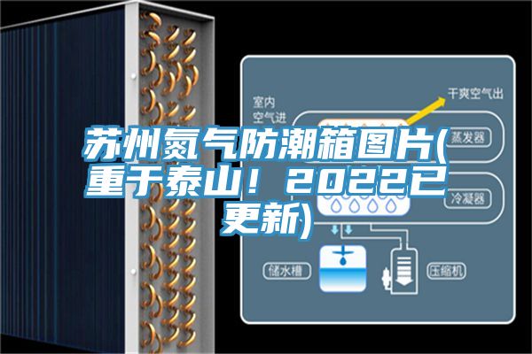 蘇州氮?dú)夥莱毕鋱D片(重于泰山！2022已更新)
