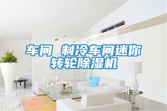 車間 制冷車間迷你轉輪除濕機