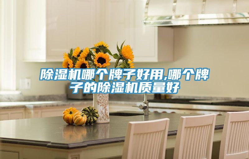 除濕機哪個牌子好用,哪個牌子的除濕機質量好