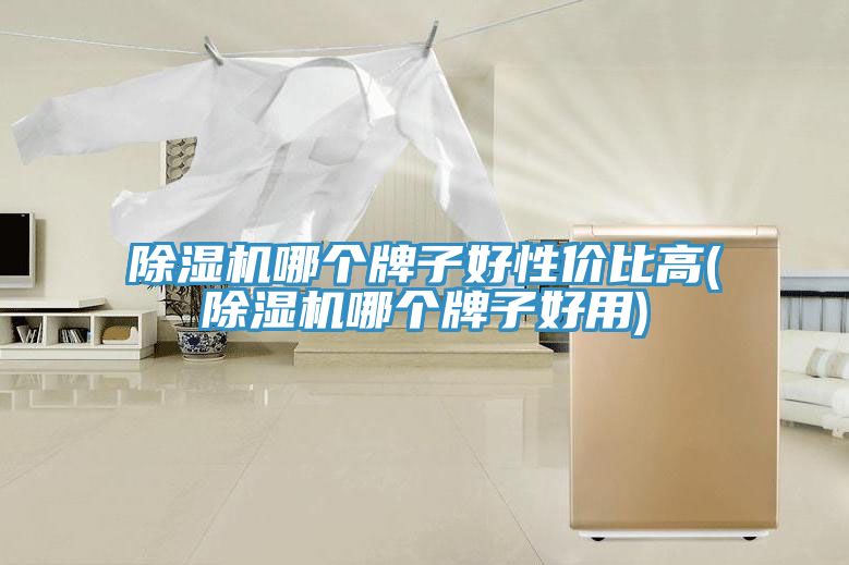 除濕機(jī)哪個(gè)牌子好性?xún)r(jià)比高(除濕機(jī)哪個(gè)牌子好用)