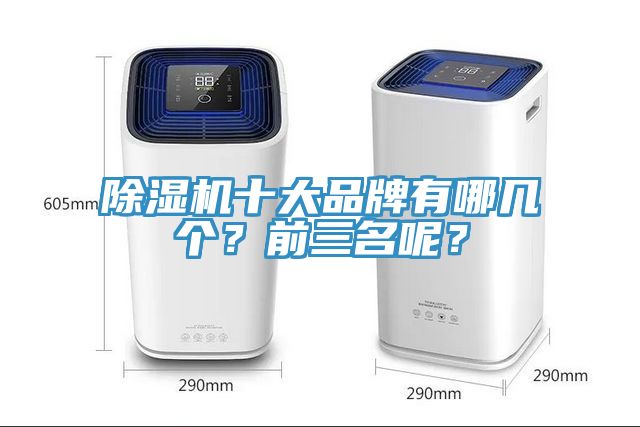 除濕機十大品牌有哪幾個?前三名呢?