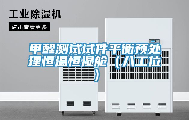 甲醛測試試件平衡預處理恒溫恒濕艙（八工位）