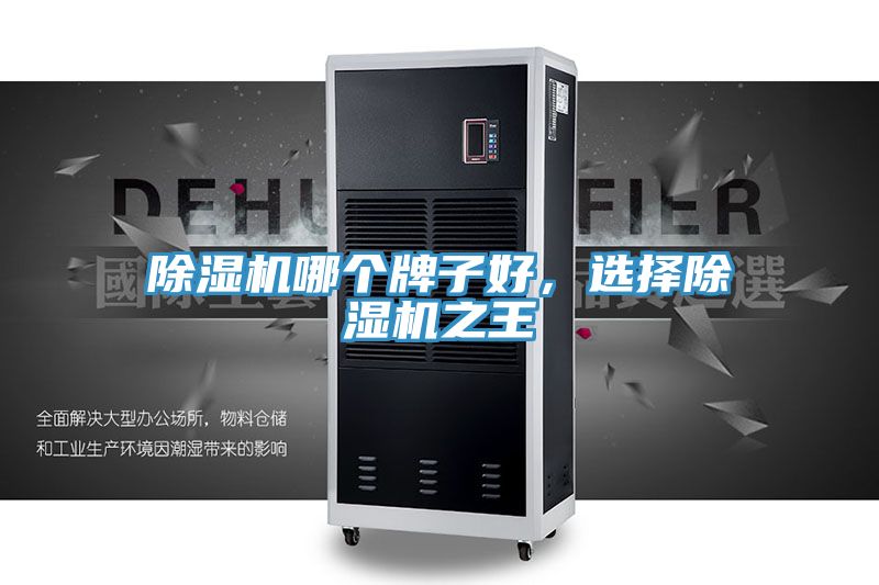 除濕機哪個牌子好，選擇除濕機之王