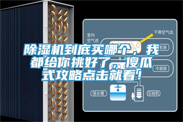 除濕機到底買哪個，我都給你挑好了，傻瓜式攻略點擊就看！