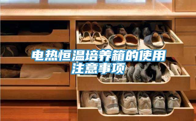 電熱恒溫培養箱的使用注意事項