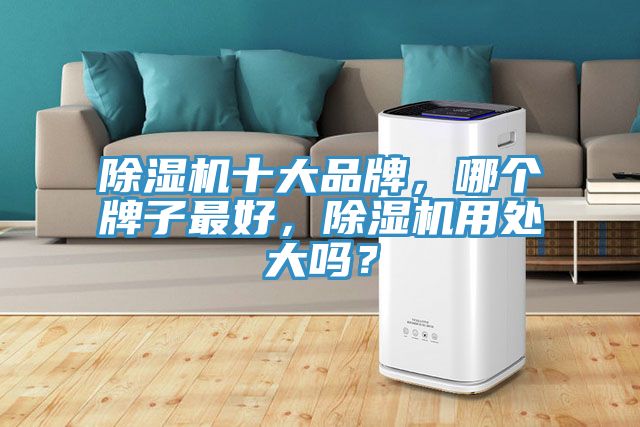 除濕機十大品牌,哪個牌子最好,除濕機用處大嗎?