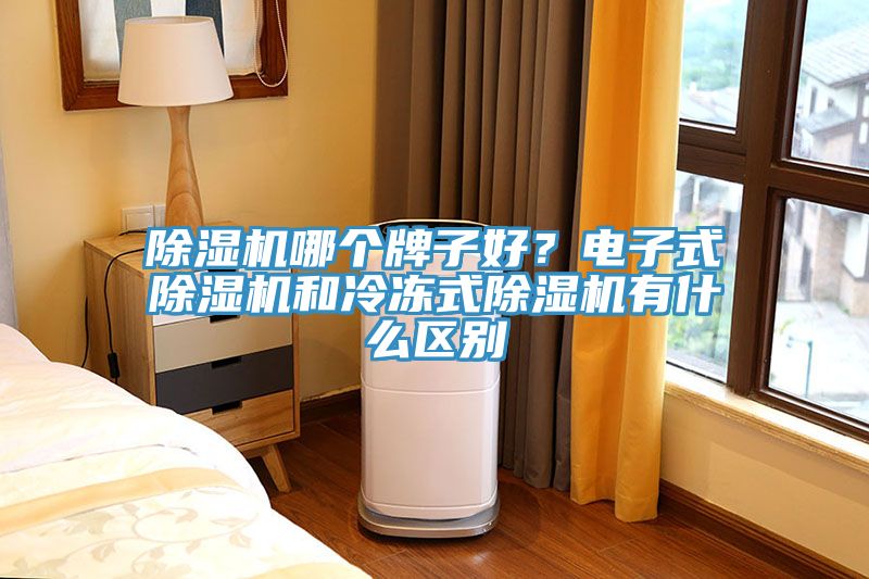 除濕機哪個牌子好？電子式除濕機和冷凍式除濕機有什么區(qū)別