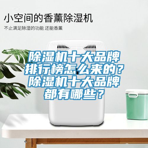 除濕機十大品牌排行榜怎么來的?除濕機十大品牌都有哪些?