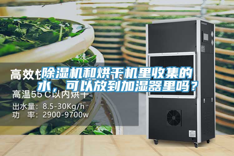 除濕機和烘干機里收集的水，可以放到加濕器里嗎？