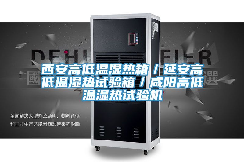 西安高低溫濕熱箱/延安高低溫濕熱試驗箱/咸陽高低溫濕熱試驗機