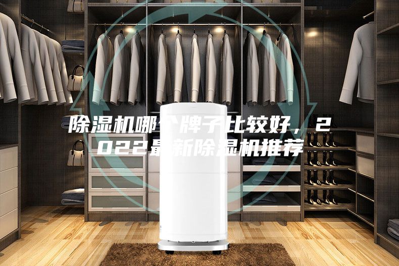 除濕機哪個牌子比較好，2022最新除濕機推薦