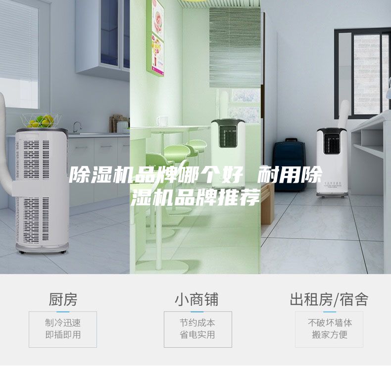 除濕機(jī)品牌哪個好 耐用除濕機(jī)品牌推薦