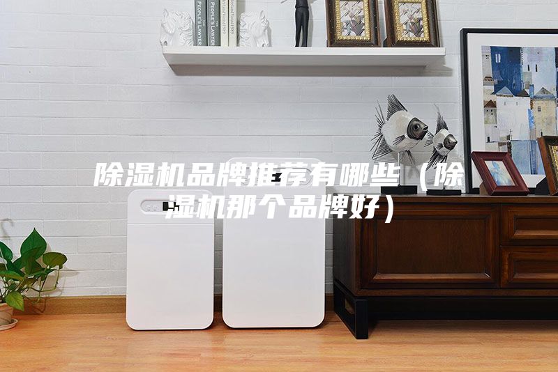 除濕機品牌推薦有哪些(除濕機那個品牌好)