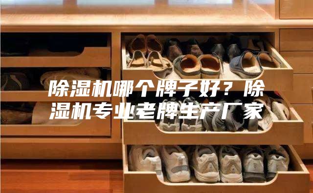 除濕機哪個牌子好?除濕機專業老牌生產廠家