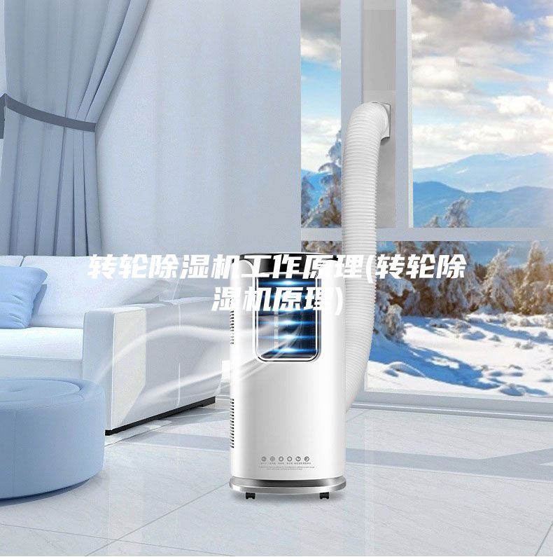 轉輪除濕機工作原理(轉輪除濕機原理)