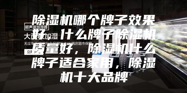 除濕機哪個牌子效果好,什么牌子除濕機質量好,除濕機什么牌子適合家用,除濕機十大品牌
