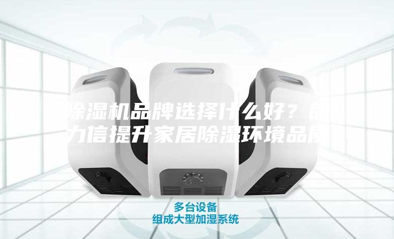 除濕機品牌選擇什么好？朗力信提升家居除濕環境品質
