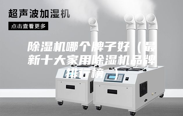 除濕機(jī)哪個(gè)牌子好(最新十大家用除濕機(jī)品牌排行榜 )