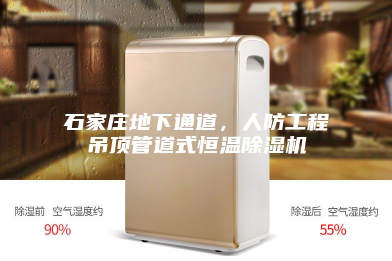 石家莊地下通道，人防工程吊頂管道式恒溫除濕機