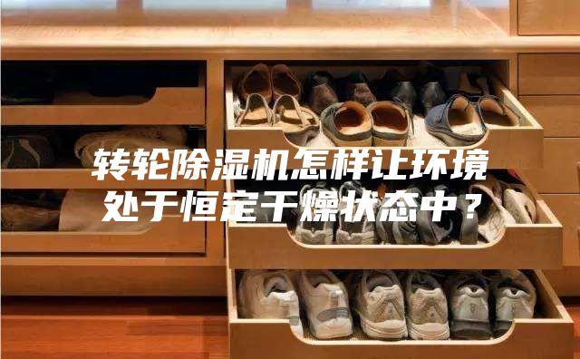 轉輪除濕機怎樣讓環境處于恒定干燥狀態中?
