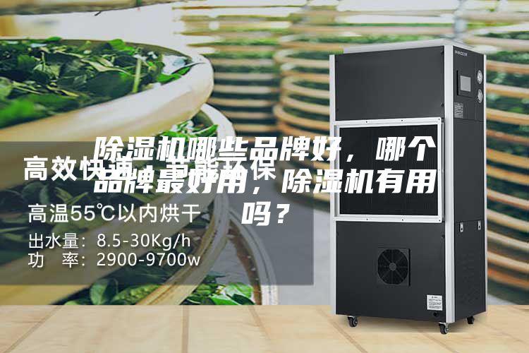 除濕機哪些品牌好,哪個品牌最好用,除濕機有用嗎?