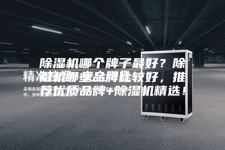 除濕機哪個牌子最好?除濕機哪些品牌比較好,推薦優質品牌+除濕機精選!