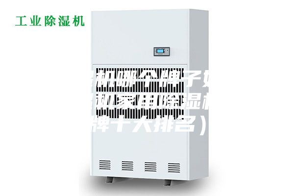 除濕機(jī)哪個(gè)牌子好(除濕機(jī)家用除濕機(jī)品牌十大排名)