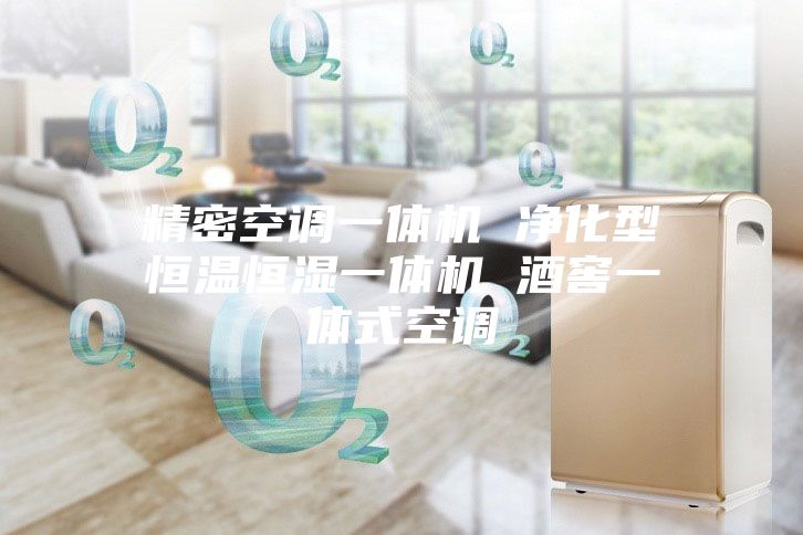 精密空調一體機 凈化型恒溫恒濕一體機 酒窖一體式空調